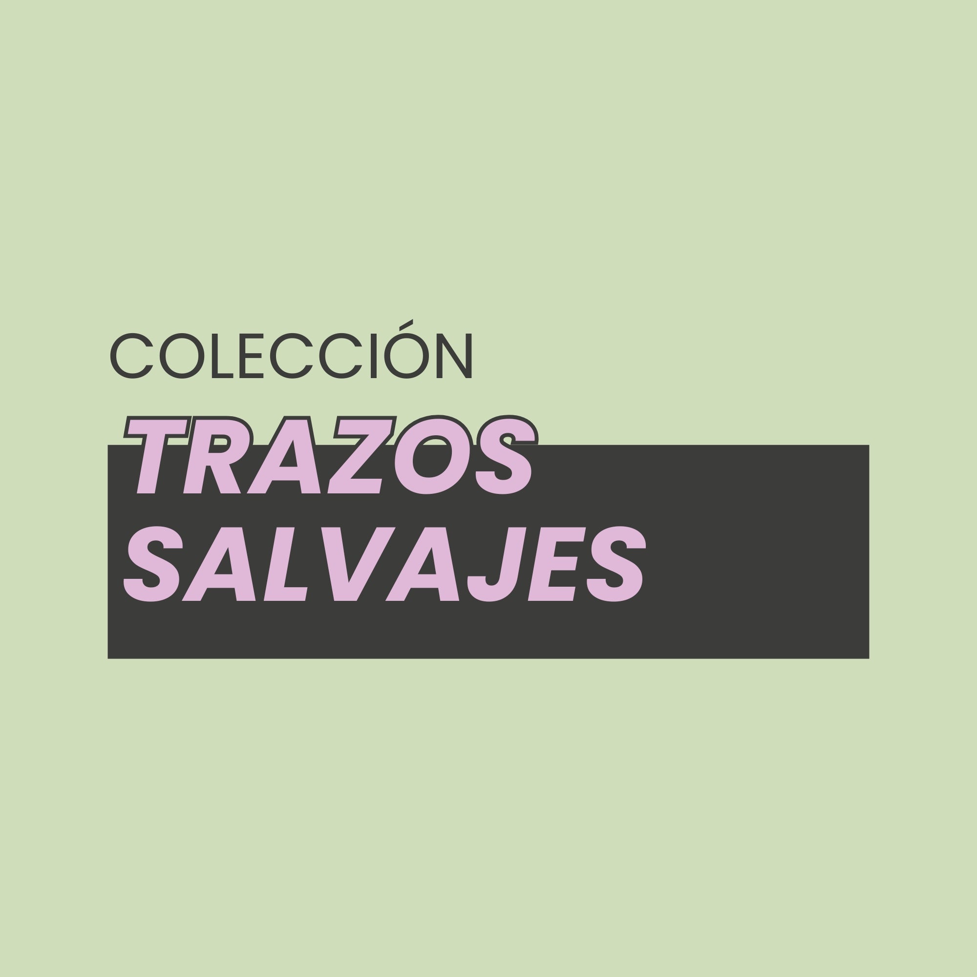 TRAZOS SALVAJES