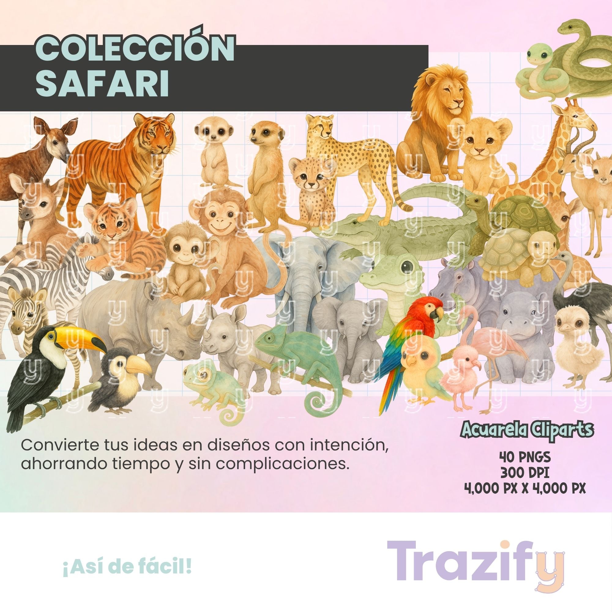 01 - Trazos Salvajes - SAFARI ACUARELA Cliparts Digitales